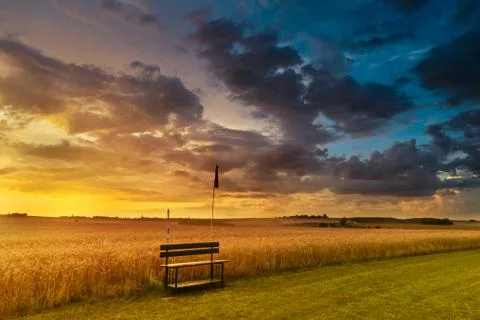 Sunset in fields in summer Stock Photos