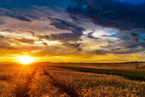 Sunset in fields in summer Stock Photos