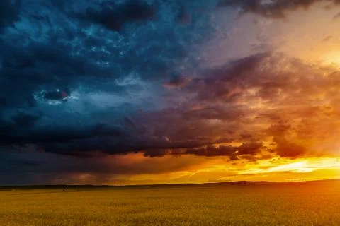 Sunset in fields in summer Foto stock