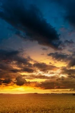 Sunset in fields in summer Stock Photos
