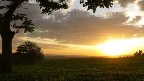 Sunset in fields with trees and beautiful cloudy sky 스톡 동영상 72983171