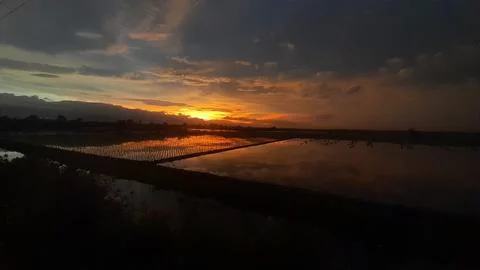 Sunset flare 库存照片