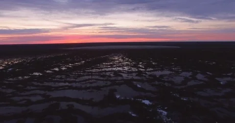 Sunset flight over the vast swamp Stock Footage 75833424