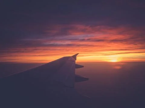 Sunset Flight Stockfoto's