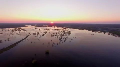 Sunset at flooded water with bushes reflection 4k. Fly low over river floodplain Stock Footage 75013616