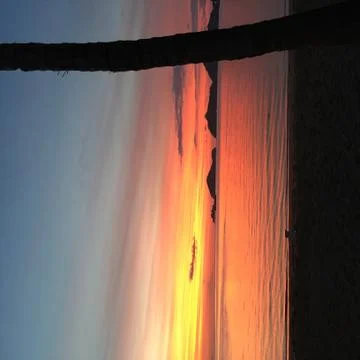 Sunset Flores Stock Photos