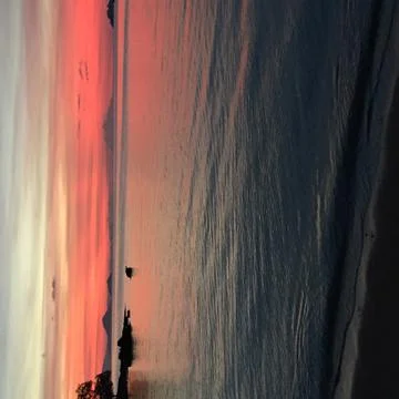 Sunset Flores Stock Photos