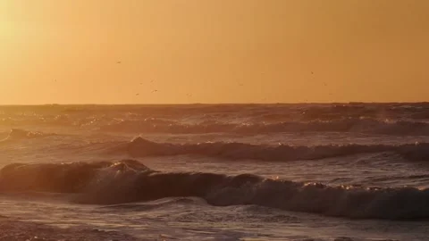 Sunset on the Florida Gulf Coast Stock-Footage 210237894