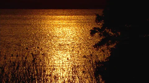 Sunset Florida Lake Stock Footage 30810039