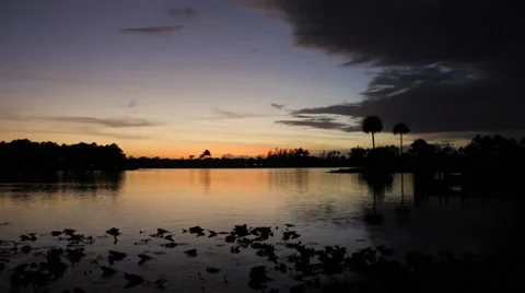 Sunset Florida Lake Timelapse Okeeheelee Park West Palm Beach Видео 33834581