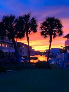 Sunset on Florida Palms Stock Photos