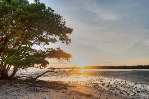 Sunset in Florida Stock Photos