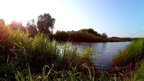 Sunset Flowing River Environment Looped Video stock 103812796