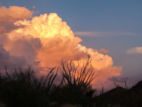 Sunset with Fluffy Billowing Clouds against Ocotillo Bush in Sonoran Desert Stock Photos