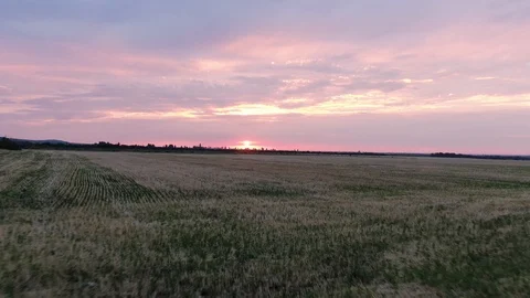 Sunset flying drone over the field Stock Footage