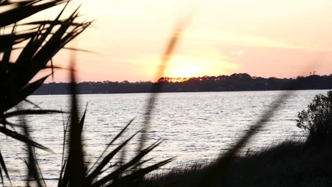 Sunset Focus Pull Stock Footage 237963134