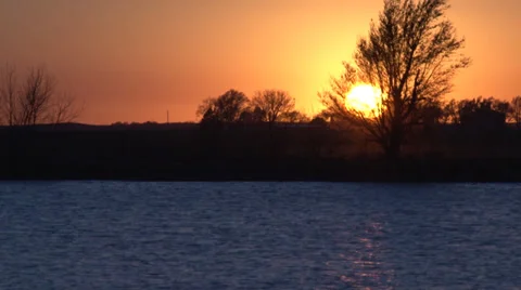 Sunset Focus through Trees Video stock 36278282