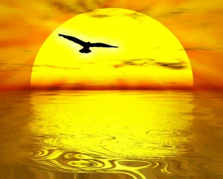 Sunset Video stock 121088