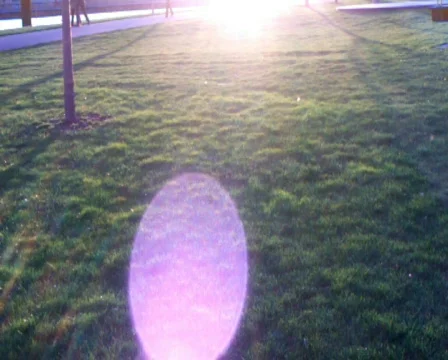 Sunset Vídeo Stock 357807