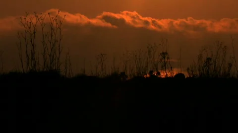 SUNSET Stock Footage 473495