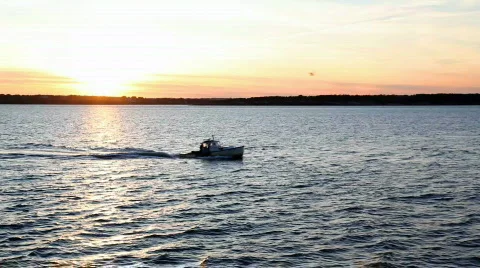 Sunset Video stock 520717