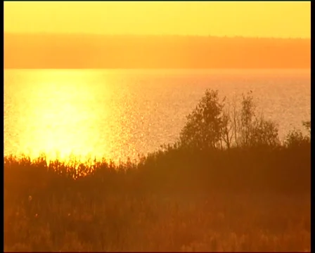 Sunset Stock Footage 655490