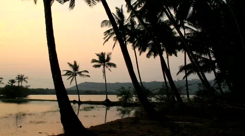 Sunset Stock Footage 696906