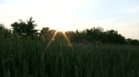 Sunset Stock Footage 737422