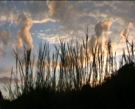 Sunset Stock Footage 747670