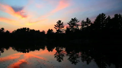 Sunset Video stock 770191