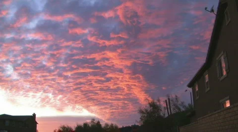 Sunset Video stock 779109