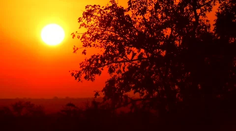 Sunset Stock Footage 797921