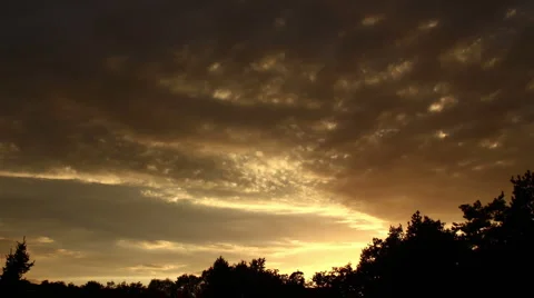 Sunset Video stock 1056537