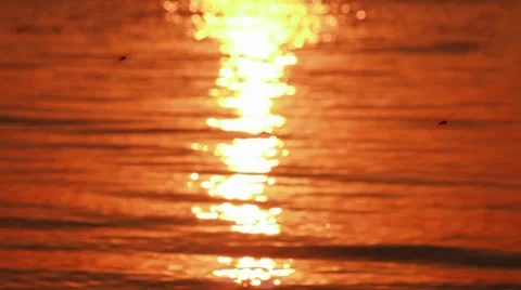 Sunset Stock-Footage 7749168
