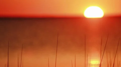Sunset Stock-Footage 7749340