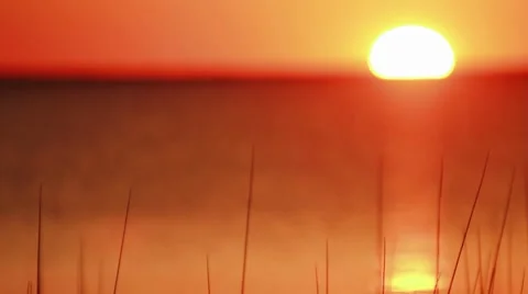 Sunset Stock-Footage 7749403