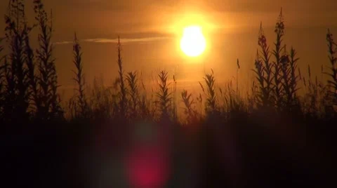 Sunset Video stock 7753332