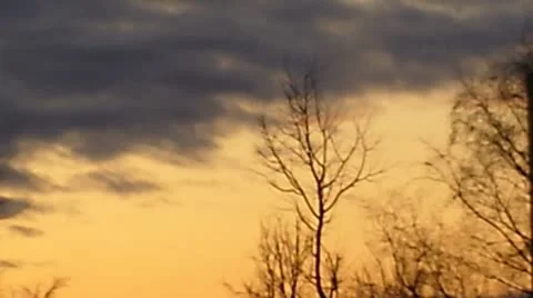 Sunset Video stock 10580267