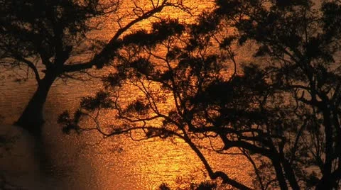 Sunset Stock Footage 10764041