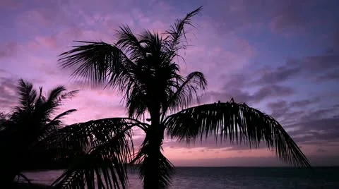 Sunset Stock-Footage 10881004