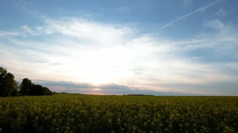 Sunset 動画素材 11017953