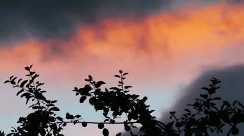 Sunset Stock Footage 11895142