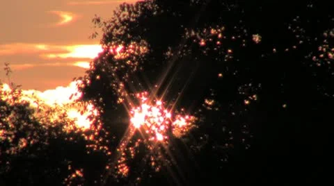 Sunset Stock-Footage 11955281