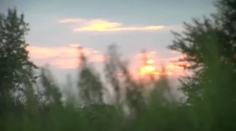 Sunset Video stock 12659596