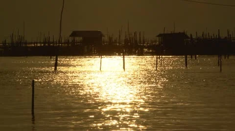 Sunset Stock Footage 21887542