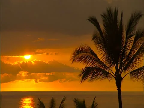 Sunset Stock-Footage 22242948