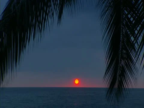 Sunset Stock-Footage 22242953