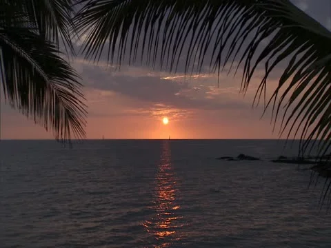 Sunset 스톡 동영상 22242959