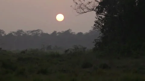 Sunset Vídeo Stock 22499774