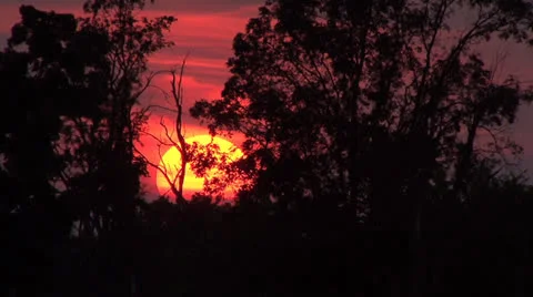 Sunset 動画素材 26071525